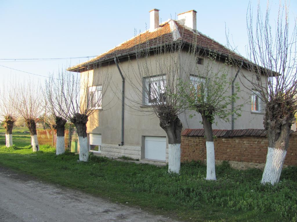 Rogozen B&B Extérieur photo