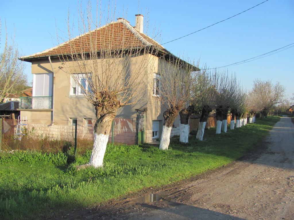 Rogozen B&B Extérieur photo